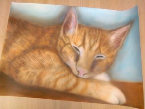 katportret